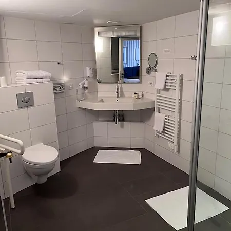 Logis Ettenheim 4*